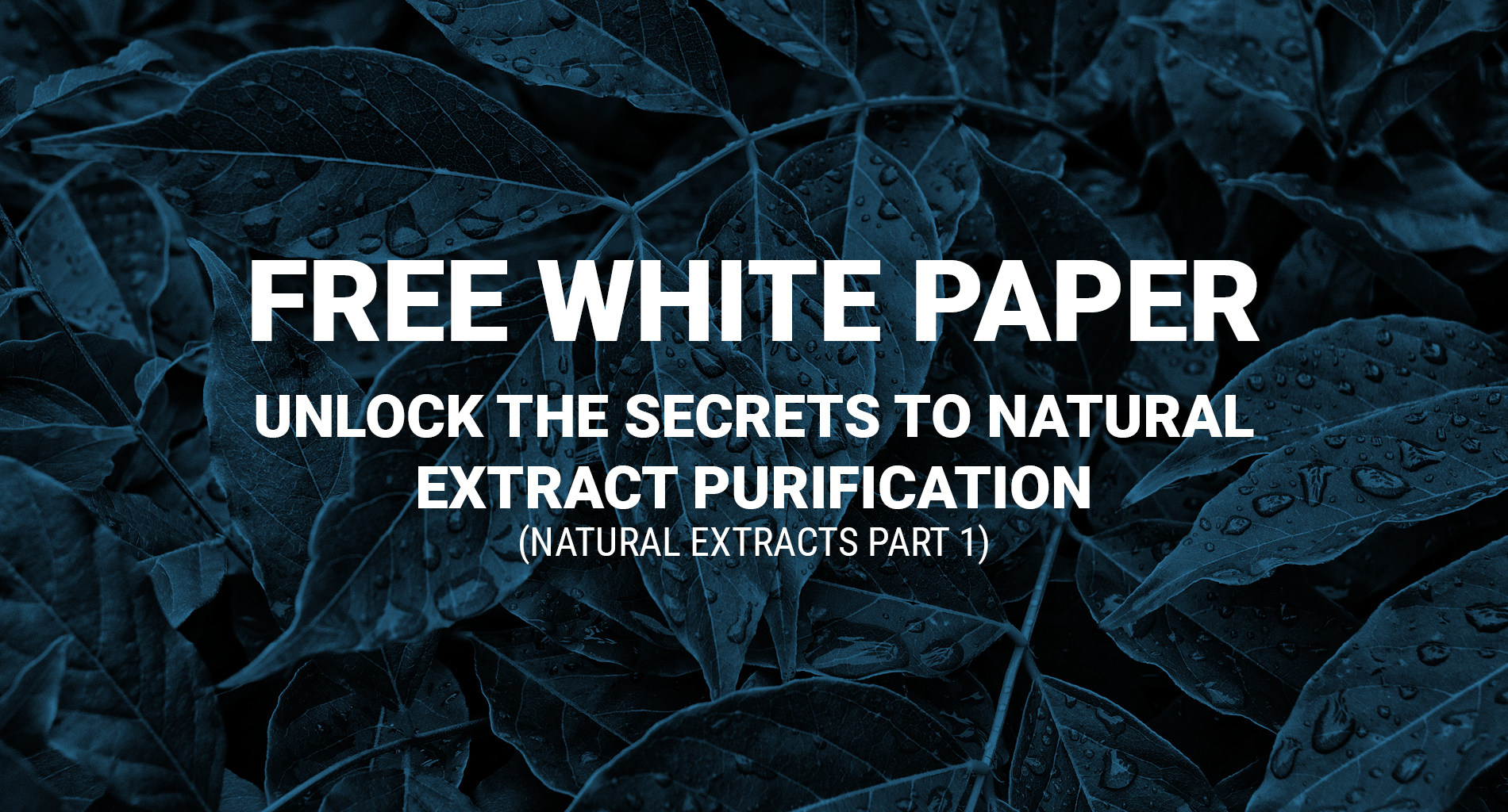 natural extracts header